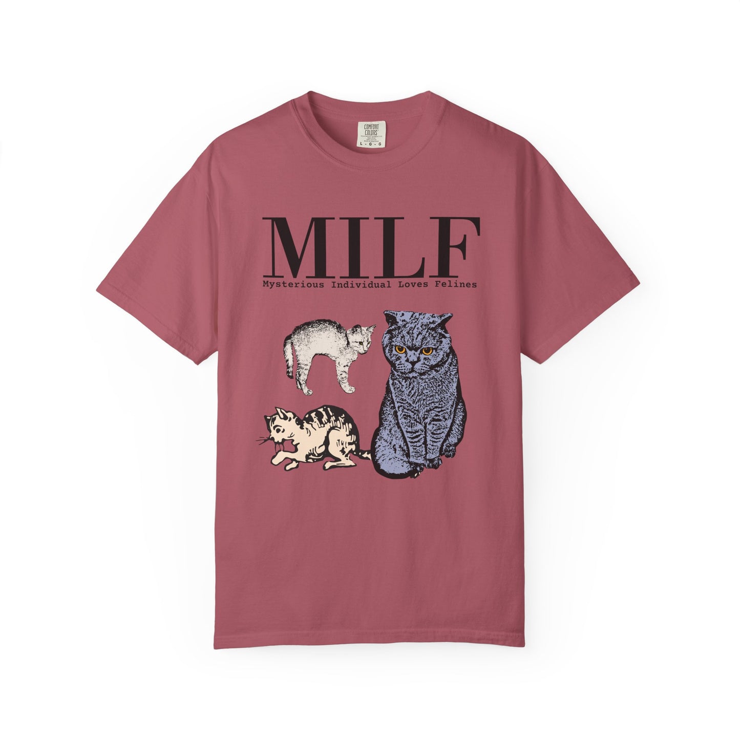 MYSTERIOUS INDIVIDUAL LOVES FELINES T-SHIRT