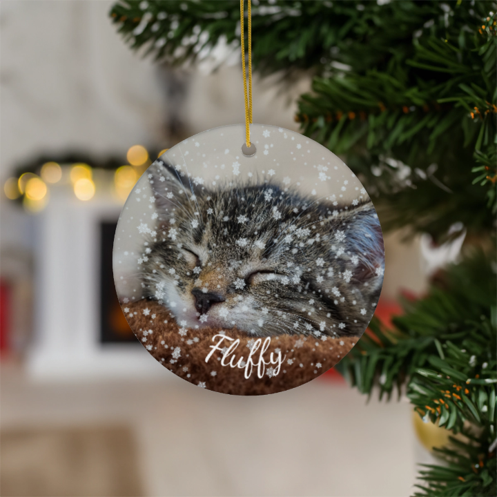 Personalized Ceramic Cat Photo Ornament