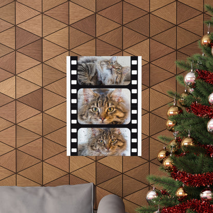 Personalized Cat Film Strip Poster