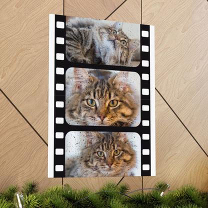 Personalized Cat Film Strip Poster