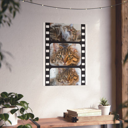 Personalized Cat Film Strip Poster