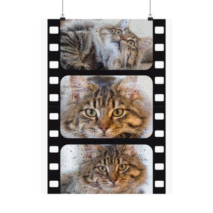 Personalized Cat Film Strip Poster