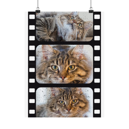 Personalized Cat Film Strip Poster